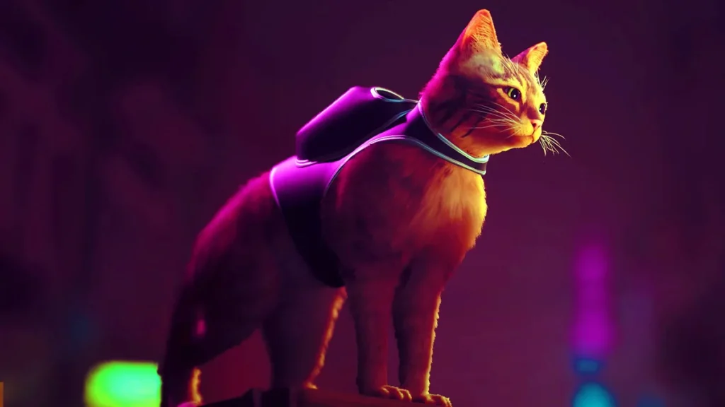 Guía Stray
