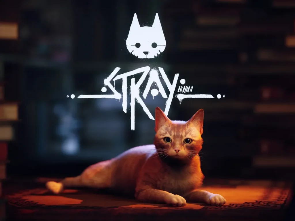 duracion de Stray