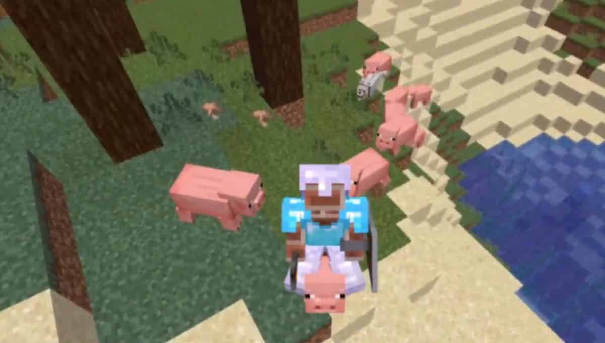 Como montar un cerdo