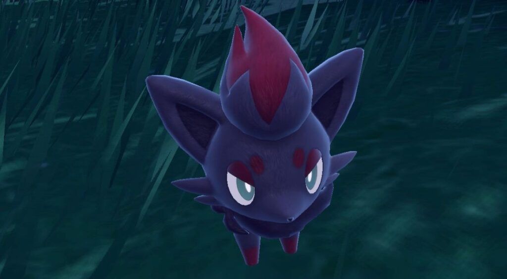 Zorua 1