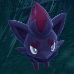Zorua 1