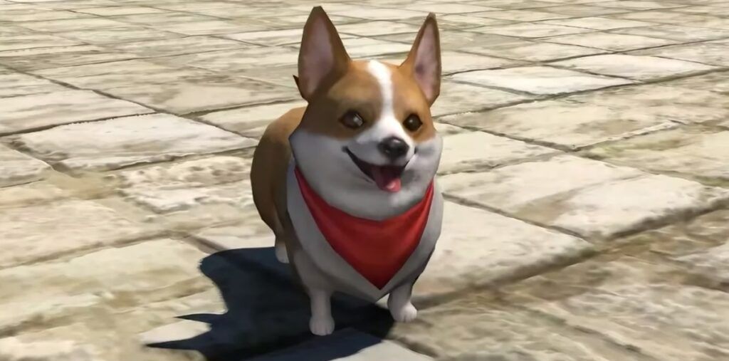 como conseguir a Corgi 4