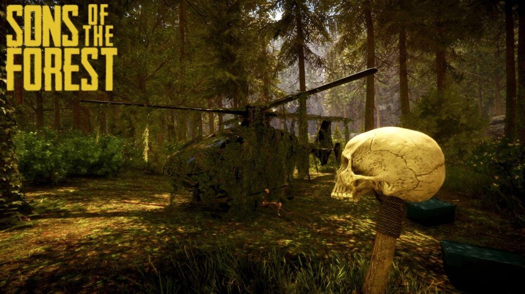 ajustes de Sons of The Forest