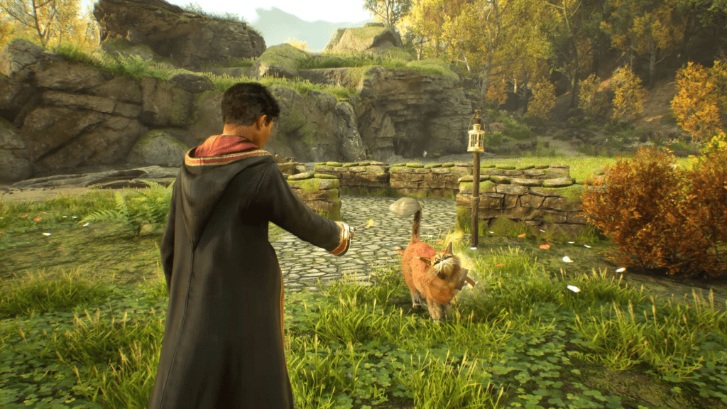 encontrar Kneazle en Hogwarts Legacy