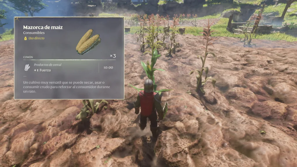 Cómo conseguir Maíz en Enshrouded