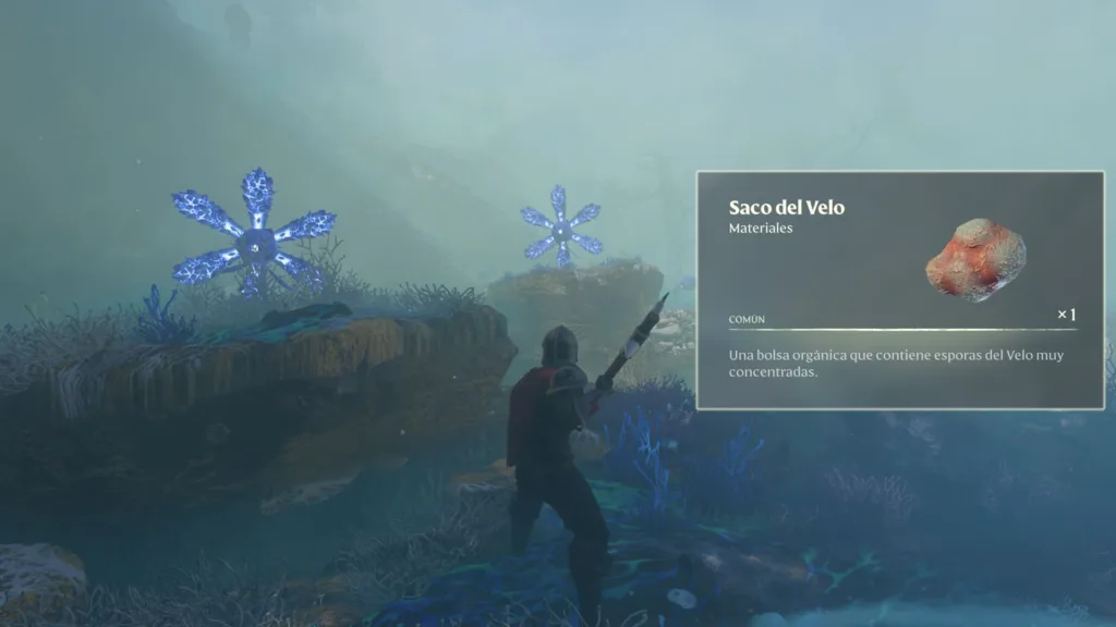 Cómo conseguir Saco del Velo en Enshrouded