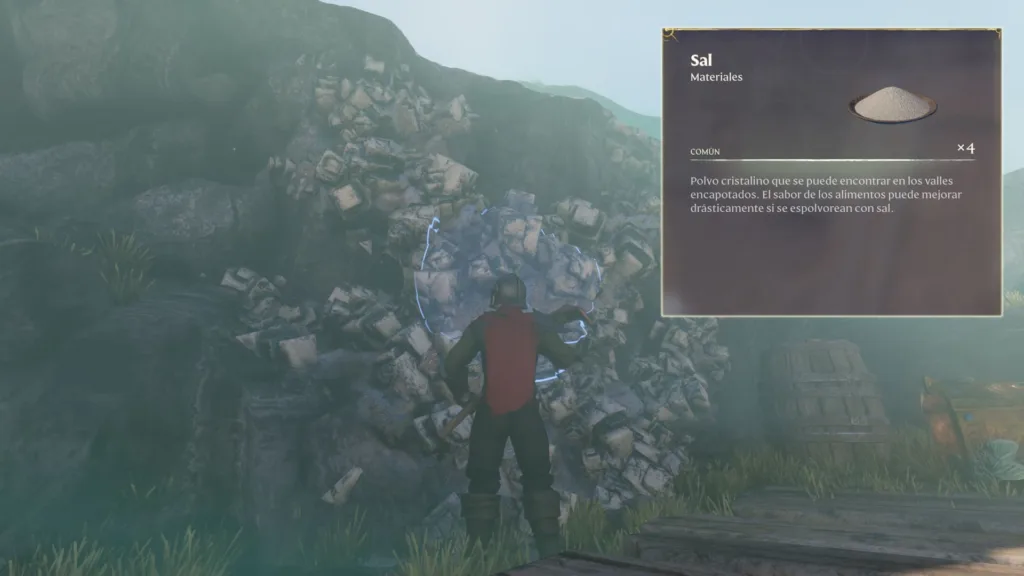 Cómo conseguir Sal en Enshrouded