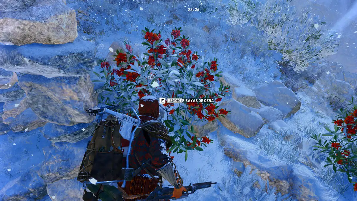 Cómo conseguir Bayas de cera en ARC Raiders