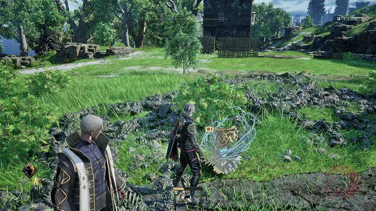 Ubicaciones de néctar dorado code vein 2