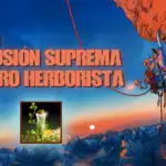Cómo cocinar la infusión suprema en Cairn y obtener el logro Herborista