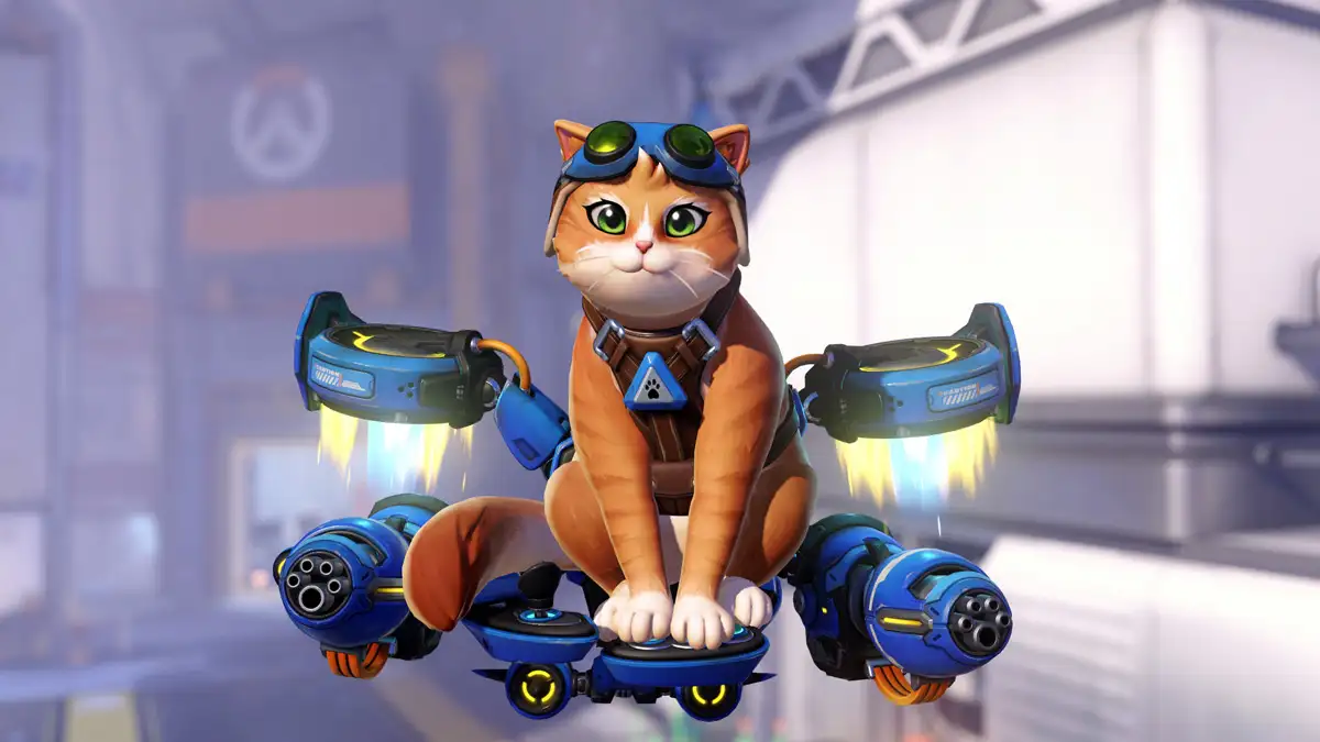 Jetpack Cat (apoyo) overwatch