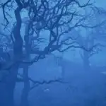 Cómo llegar al Bosque No Muerto de Code Vein 2