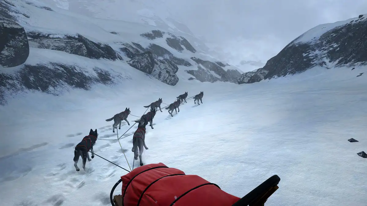 Will Follow the Light