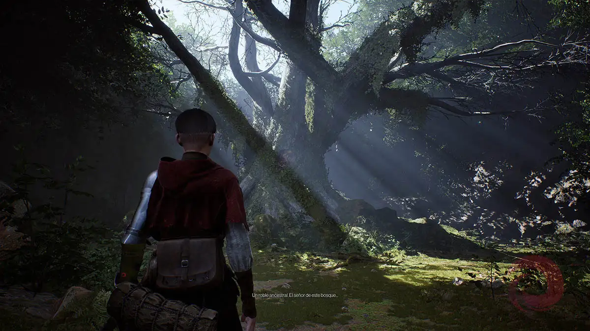 Análisis de 1348 Ex Voto