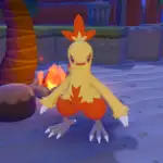 Cómo tener a Combusken en Pokémon Pokopia