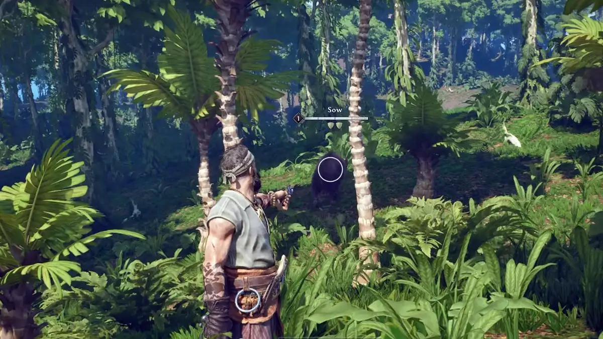 Mejores trucos para principiantes en Windrose para sobrevivir desde el primer día 4 Por qué no debes pelear contra los jabalíes al principio - Windrose