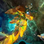 Cómo conseguir cobre en Subnautica 2 y para qué sirve