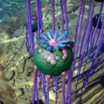 Dónde encontrar el quiste de Necrolei en Subnautica 2 y para qué sirve