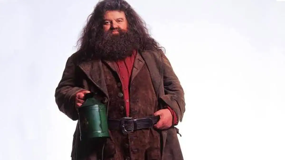 De qué tratan los nuevos libros de Harry Potter Hagrid
