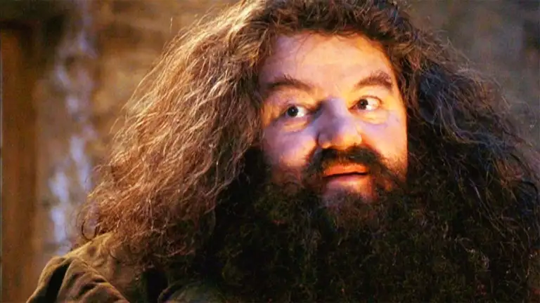 La colección Pocket Potters crece con los nuevos libros de Harry Potter sobre Dobby y Hagrid