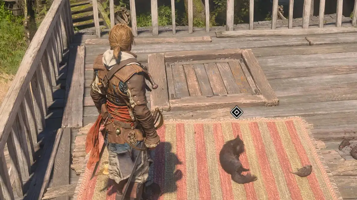 Cómo conseguir una mascota en Assassin's Creed Black Flag Resynced
