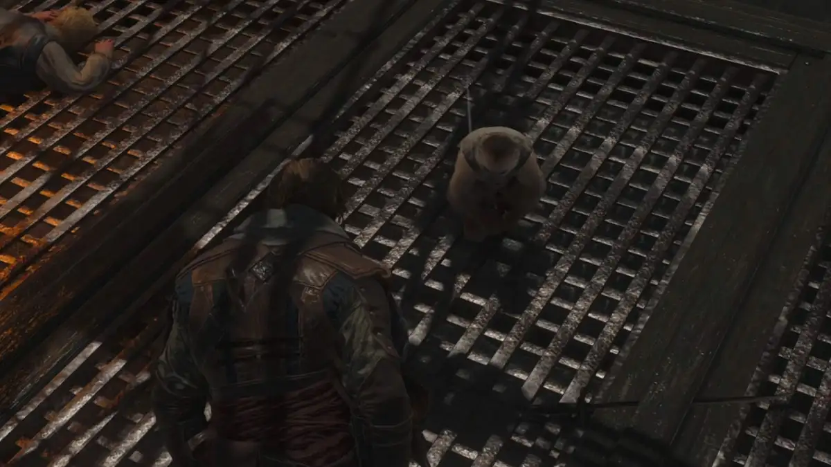 Cómo conseguir una mascota en Assassin's Creed Black Flag Resynced