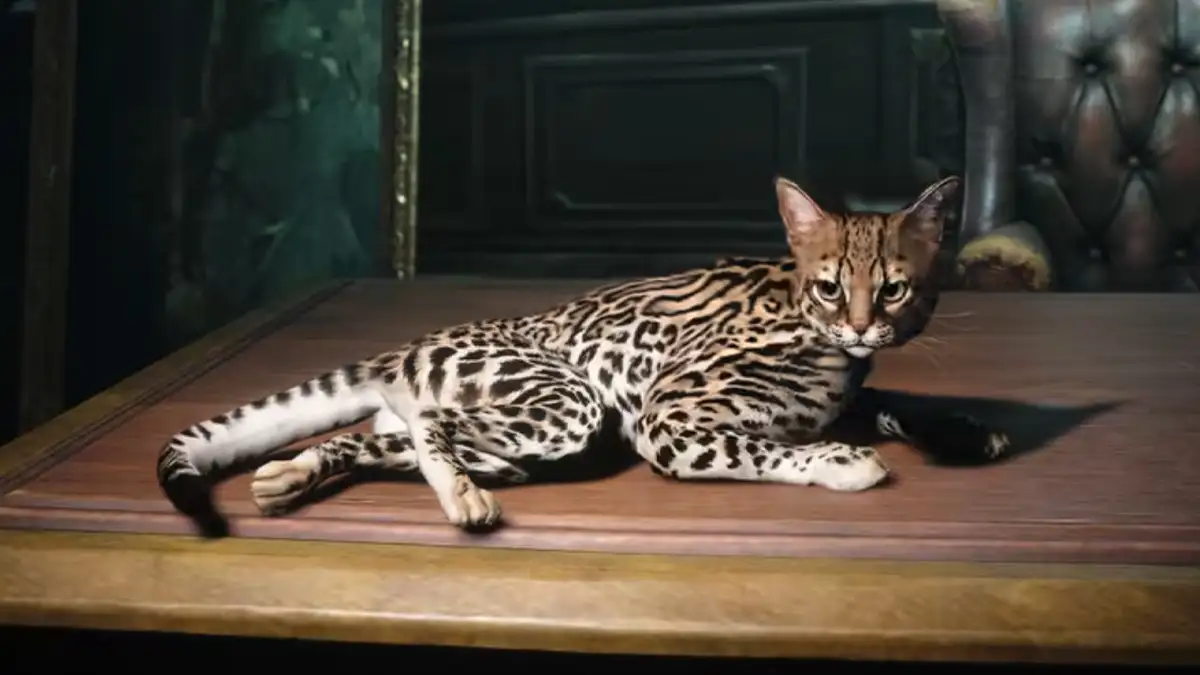 Cómo conseguir una mascota en Assassin's Creed Black Flag Resynced